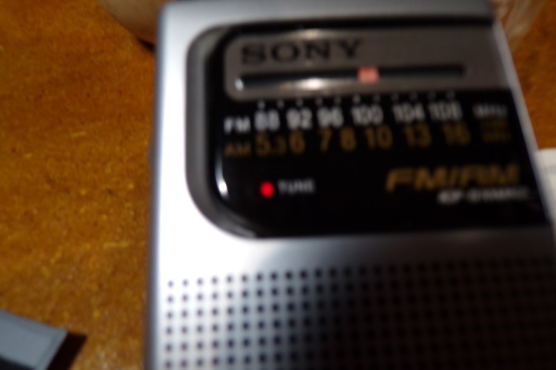100_0352.JPG