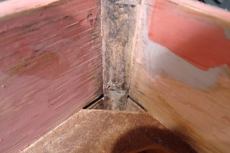 100_0486.JPG