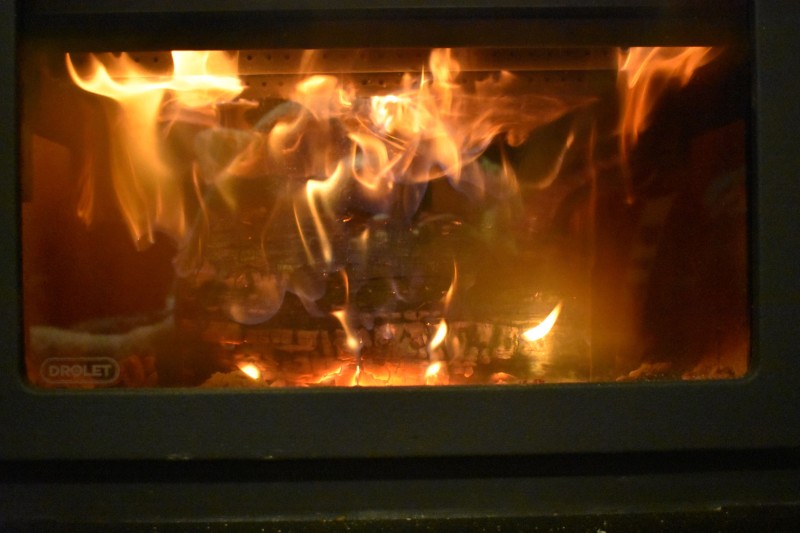 DSC_0735 Fire Picture.JPG